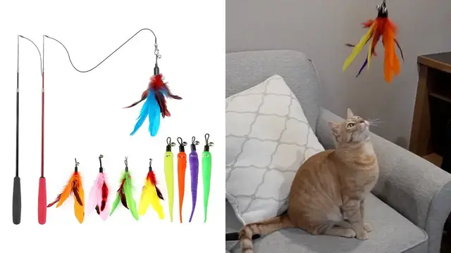 'Video thumbnail for MeoHui Retractable Cat Wand Toy Review'