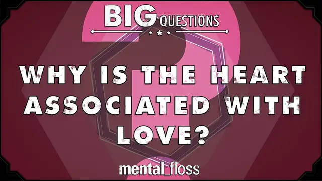'Video thumbnail for Why is the heart associated with love? - Big Questions - (Ep. 21)'