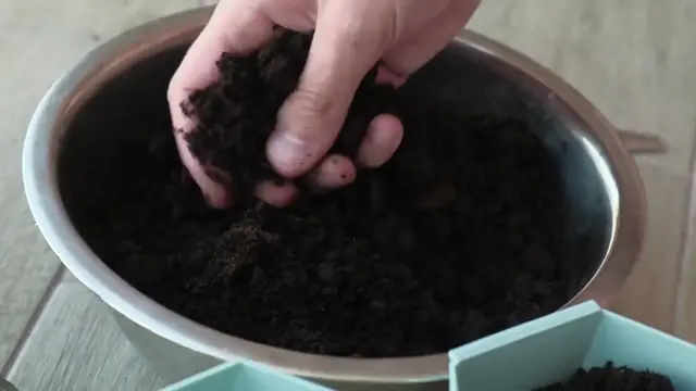 'Video thumbnail for Winter Care for Plants'