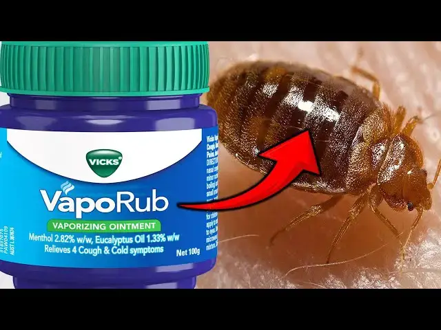 'Video thumbnail for Surprising Home Remedy: Get Rid of Bedbugs with Vicks Vaporub'