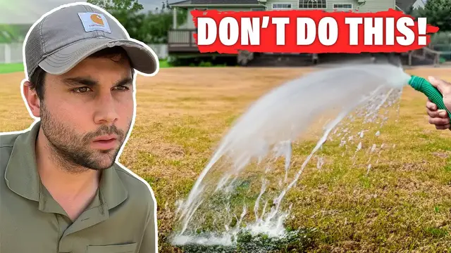 'Video thumbnail for DON'T Do This To Your Lawn This SUMMER: 4 Things'