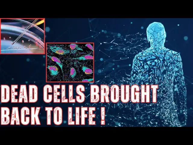 'Video thumbnail for Cells Can Exist In A Third State Beyond Life And Death: Shocking Study Reveals.'