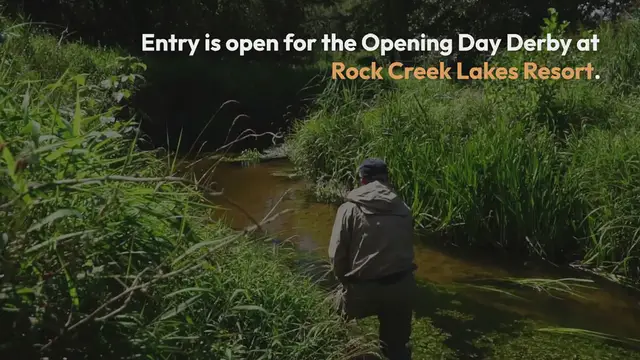 'Video thumbnail for Eastern Sierra Fish Reports'