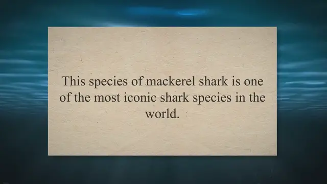 'Video thumbnail for All About Great White Sharks: The Great Pointer Shark'