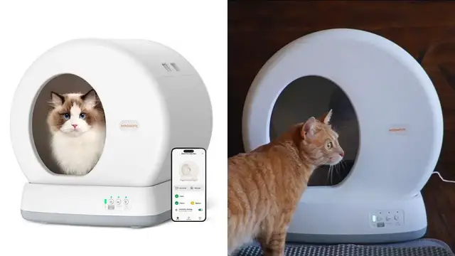 'Video thumbnail for MeoWant Self-Cleaning Cat Litter Box Review'