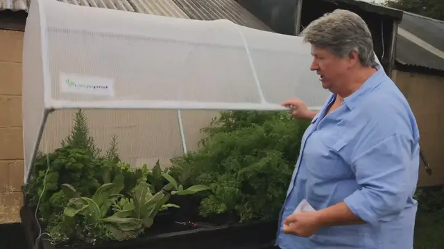'Video thumbnail for Vegepod review August 2023'