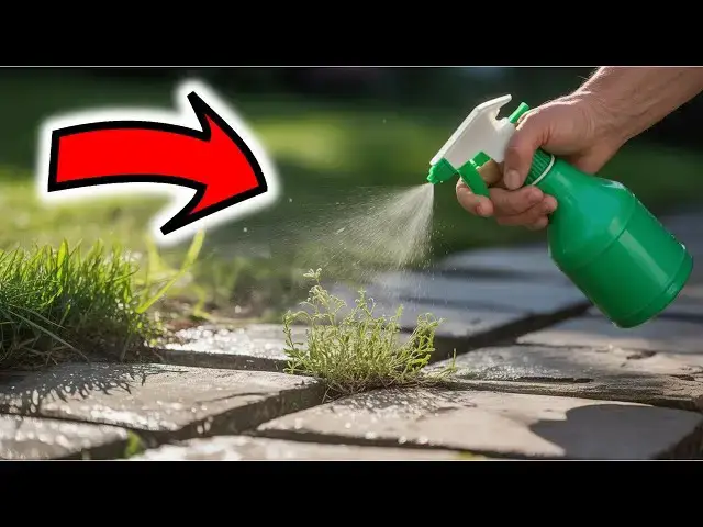 'Video thumbnail for 🌿 Just 1 Drop Kills Weeds Instantly – No Chemicals Needed! 🌿'