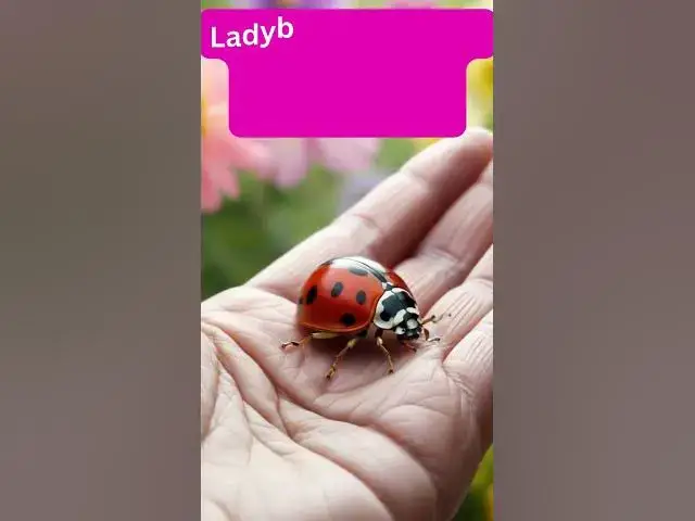 'Video thumbnail for Love your ladybirds—they're nature's tiny pest patrol!'