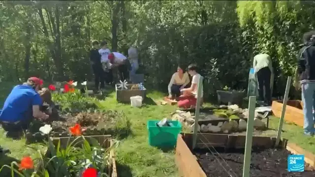 'Video thumbnail for Vegetable Garden World Cup: 'We all need to reconnect with nature and our health''