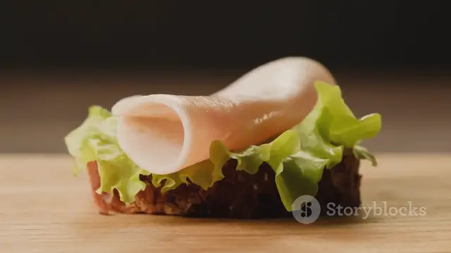 'Video thumbnail for invideo-ai-1080 Retro Sandwiches_ A Tasty Time Travel to 2025-06-14'
