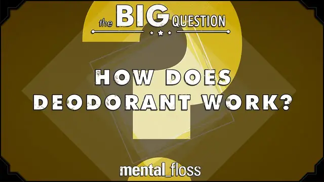 'Video thumbnail for How Does Deodorant Work? - Big Questions (Ep.3)'
