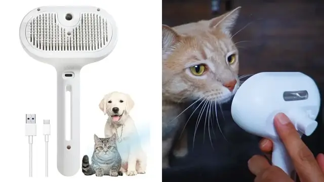 'Video thumbnail for Everything To Know About This Spraying Pet Brush'
