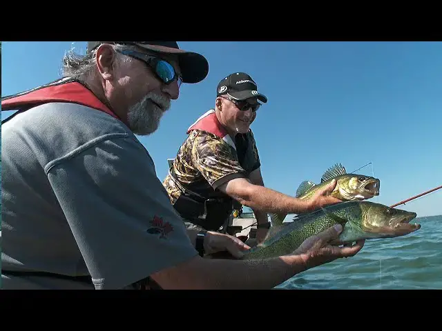 'Video thumbnail for Giant Lures = Giant Alberta Walleye | Fish'n Canada'
