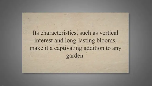 'Video thumbnail for Pecher Peony: The Peach of the Garden'