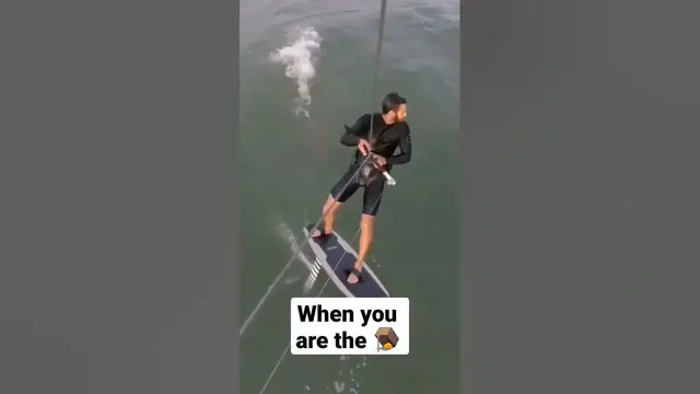 'Video thumbnail for Human bait #fishingfails #shark #sharks'