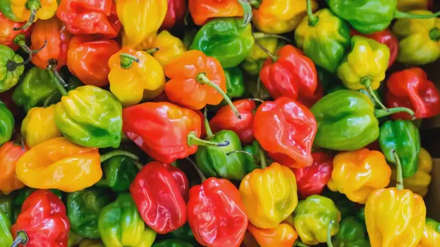'Video thumbnail for 7 Surprising Uses for Habanero Peppers'
