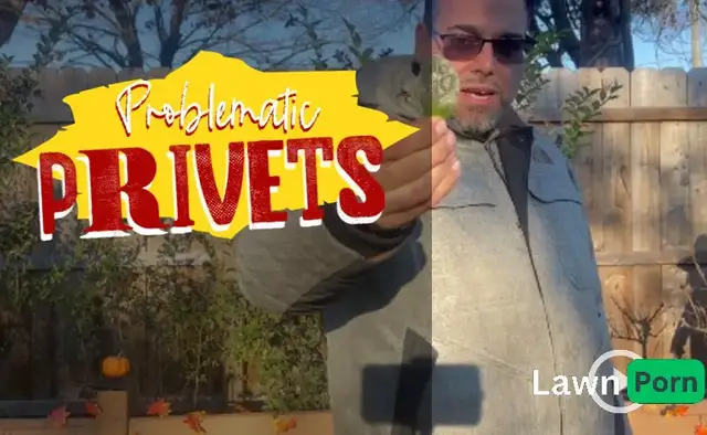 'Video thumbnail for Privets Have Proved a Bit Problematic This Year.  Let's Talk About Why.'