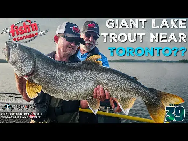 'Video thumbnail for GIANT Lake Trout Near Toronto!? | The Fish'n Canada Show'