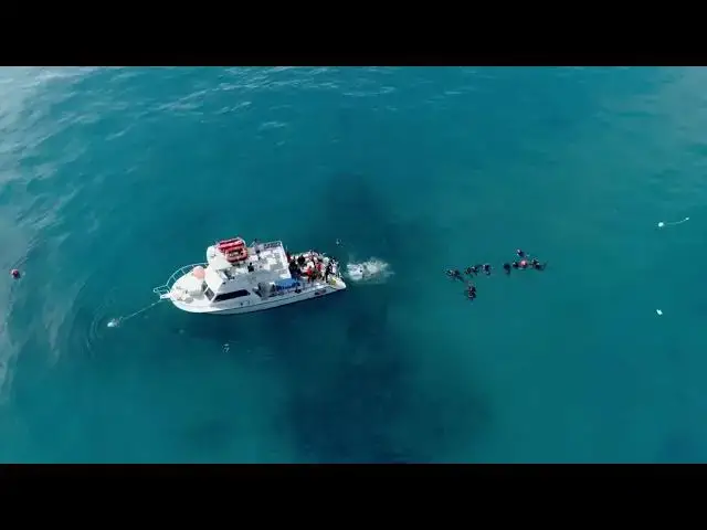 'Video thumbnail for Titan_Submersible_Tragedy_Unveiled'