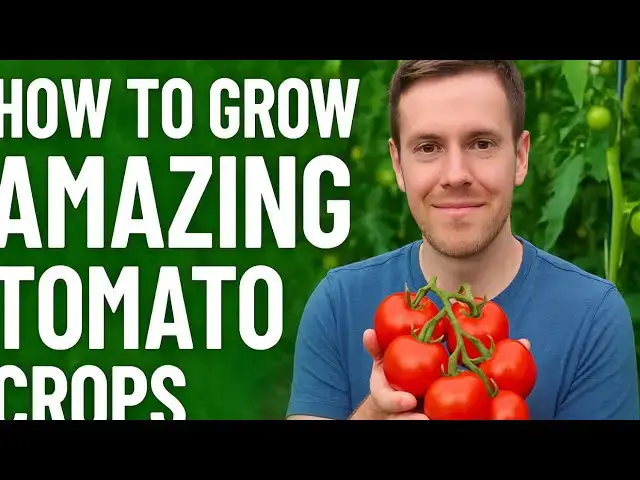 'Video thumbnail for 🍅 How to Grow Amazing Tomato Crops | Top Tips for Bigger, Healthier Harvests'