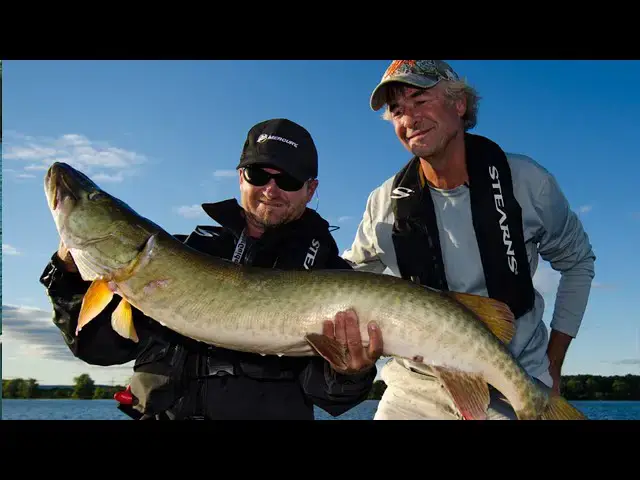 'Video thumbnail for Ottawa River Muskie Madness | Fish'n Canada'