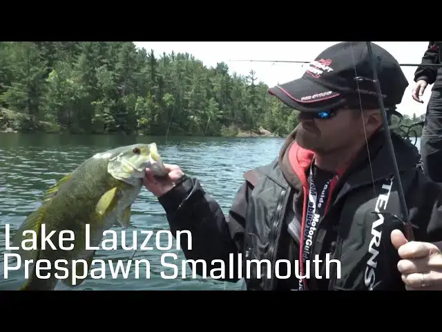 'Video thumbnail for Lake Lauzon Prespawn Smallmouth Bass | Fish'n Canada'