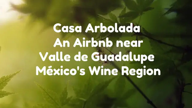 'Video thumbnail for Airbnb near the Wine Region of Mexico / Ensenada / Casa Arbolada'