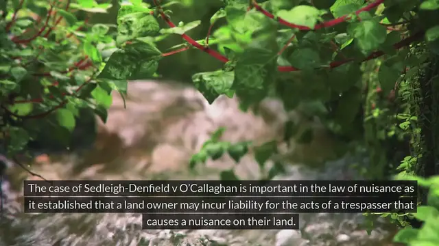 'Video thumbnail for Sedleigh-Denfield v O’Callaghan [1940] AC 880 Tort Law www.e-lawresources.co.uk'