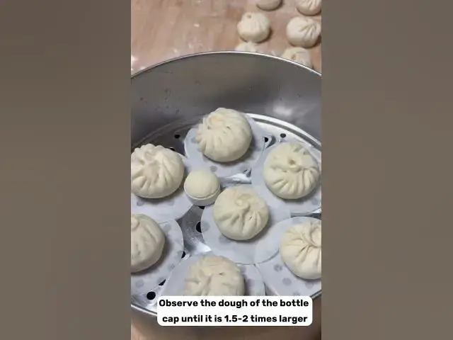 'Video thumbnail for How To Know When Bun Dough Is Fermented'