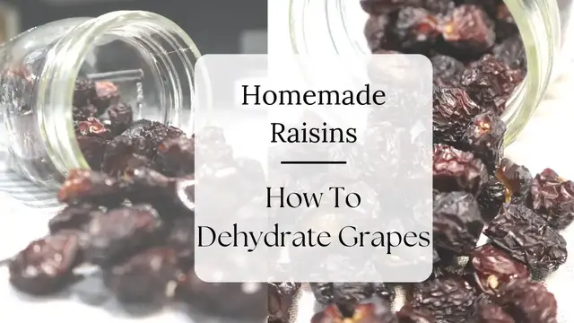 'Video thumbnail for HOW TO MAKE HOMEMADE RAISINS (EASY DEHYDRATED GRAPES)'