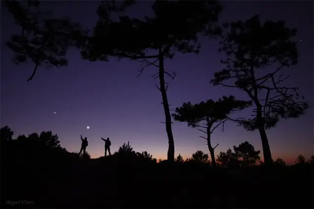 'Video thumbnail for The Enchanted Forest - Friendships Journey'