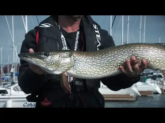 'Video thumbnail for Big Northern Pike In Southern Ontario | Fish'n Canada'