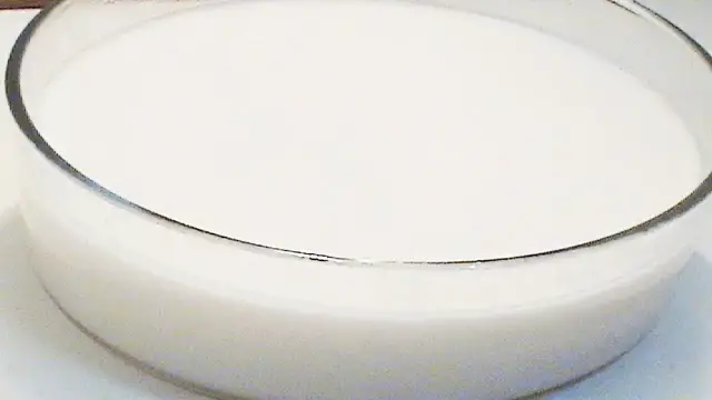 'Video thumbnail for Homemade Coconut Milk(with and without a blender) |How to  Extract Coconut Milk at how'