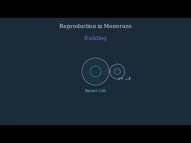 'Video thumbnail for Understanding the Monera Kingdom - A Simple Explainer'
