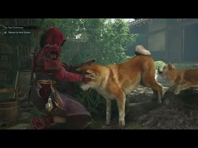 'Video thumbnail for Assassin's Creed Shadows - Naoe Pets Golden Akita and Puppy In Port of Sakai | Gameplay'