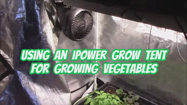 'Video thumbnail for Using An iPower Grow Tent For Growing Vegetables'