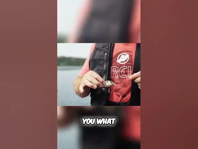 'Video thumbnail for Why We Love Squarebill Crankbaits'