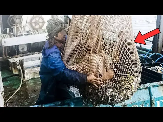 'Video thumbnail for Fisherman Finds a Strange Creature in His Net - He Rushes To Shore When He Finds Out What It Is'