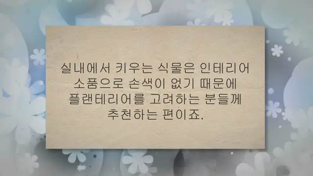 'Video thumbnail for 관엽식물 종류 7가지 실내 인테리어 걱정 없어요'