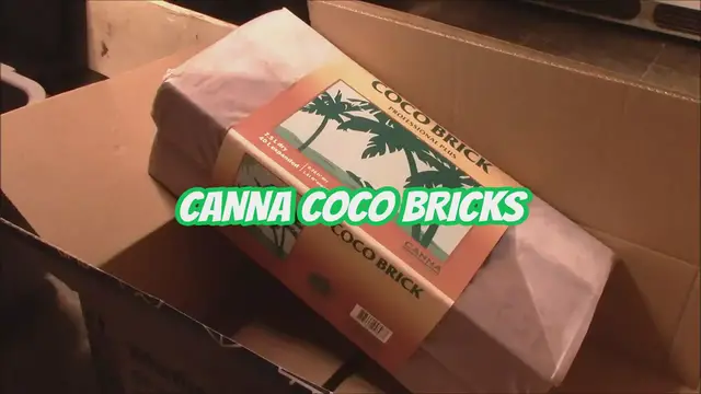 'Video thumbnail for Canna Coco Bricks'