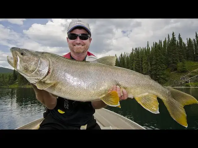 'Video thumbnail for Catching Giant BC Lake Trout | Fish'n Canada'