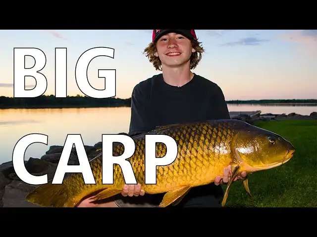 'Video thumbnail for Family Carp Fishing | Fish'n Canada'
