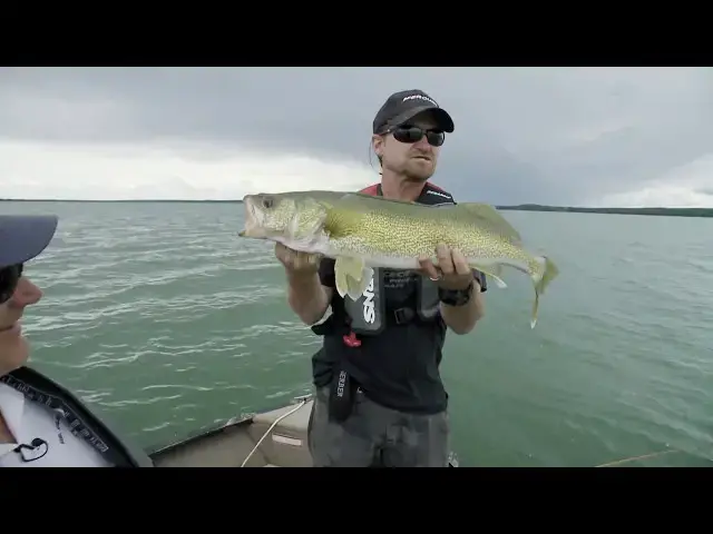 'Video thumbnail for Huge Alberta Walleye On Huge Artificial Baits | Fish'n Canada'