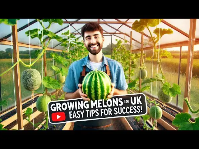 'Video thumbnail for 🌱 Growing Melons in the UK – Tips for a Sweet Harvest! 🍉'