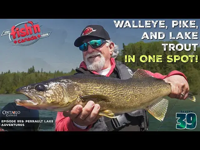 'Video thumbnail for Walleye, Pike, AND Lake Trout in ONE SPOT! | The Fish'n Canada Show'