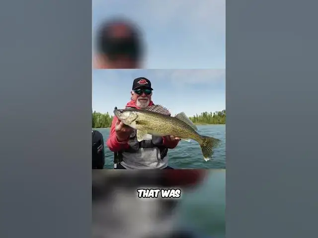 'Video thumbnail for "He Ate A Turtle" #walleye #walleyefishing #fishncanada #fishing #GoFishInOntario #DiscoverON'