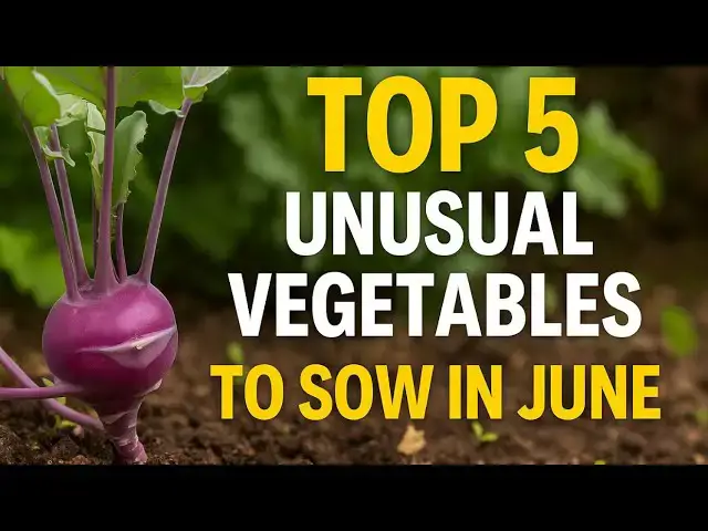 'Video thumbnail for 🥦 Top 5 Unusual Vegetables to Sow in June | Unique Crops to Try in Your Garden'