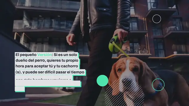 'Video thumbnail for Cavar: Su perro Entusiastas Citas Aplicación Da un especial Mango para solteros Persiguiendo A largo plazo Estilo de vida ​​Ser compatible'