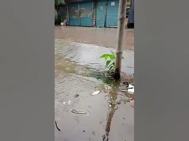 'Video thumbnail for Liquid Sky: The Many Moods of Rain'