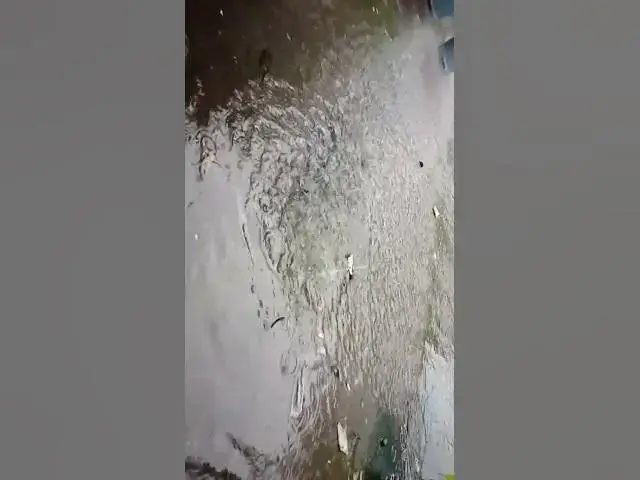 'Video thumbnail for The Rhythm of Renewal: Rain's Endless Cycle'